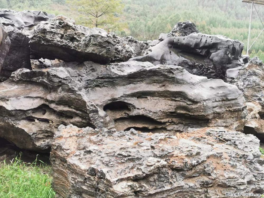 风景石、假山石大量有货，有需要的欢迎联系 - 新手上路 - 惠州生活社区 - 惠州28生活网 huizhou.28life.net