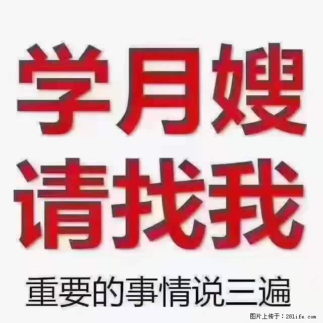 为什么要学习月嫂，育婴师？ - 其他广告 - 广告专区 - 惠州分类信息 - 惠州28生活网 huizhou.28life.net