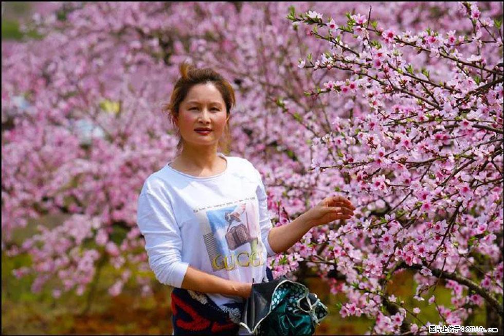 【春天，广西桂林灌阳县向您发出邀请！】官庄村有个醉美的桃花园 - 游山玩水 - 惠州生活社区 - 惠州28生活网 huizhou.28life.net