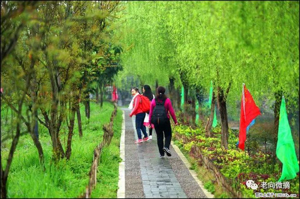 【春天，广西桂林灌阳县向您发出邀请！】江口老街又逢春 - 游山玩水 - 惠州生活社区 - 惠州28生活网 huizhou.28life.net