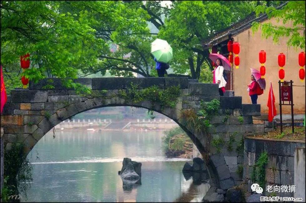 【春天，广西桂林灌阳县向您发出邀请！】江口老街又逢春 - 游山玩水 - 惠州生活社区 - 惠州28生活网 huizhou.28life.net