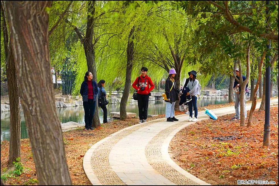 【春天，广西桂林灌阳县向您发出邀请！】江口老街又逢春 - 游山玩水 - 惠州生活社区 - 惠州28生活网 huizhou.28life.net