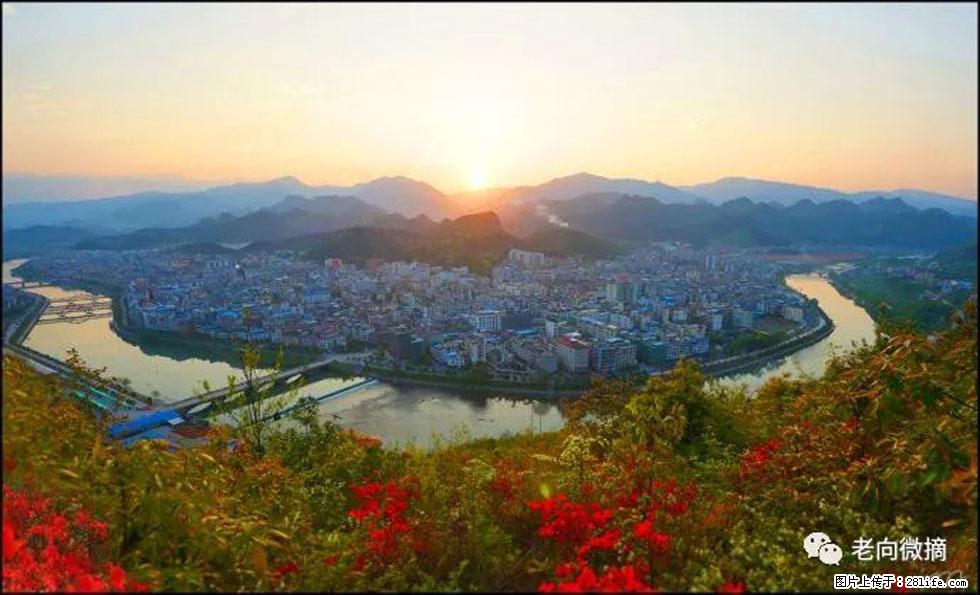 【春天，广西桂林灌阳县向您发出邀请！】登麒麟山，相约映山红 - 游山玩水 - 惠州生活社区 - 惠州28生活网 huizhou.28life.net