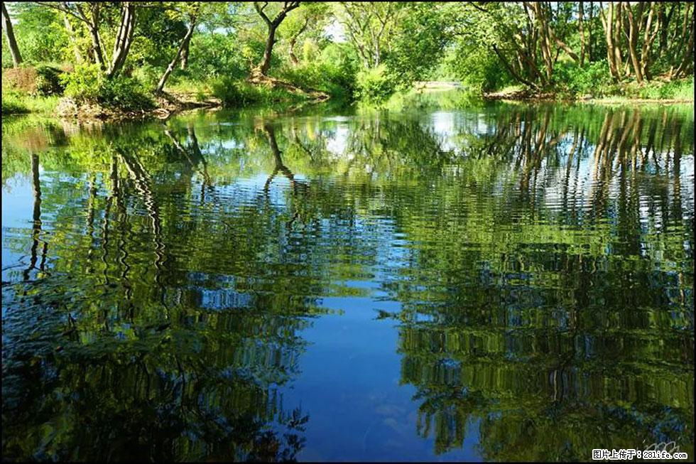 【春天，广西桂林灌阳县向您发出邀请！】熊家寨湿地公园 - 游山玩水 - 惠州生活社区 - 惠州28生活网 huizhou.28life.net