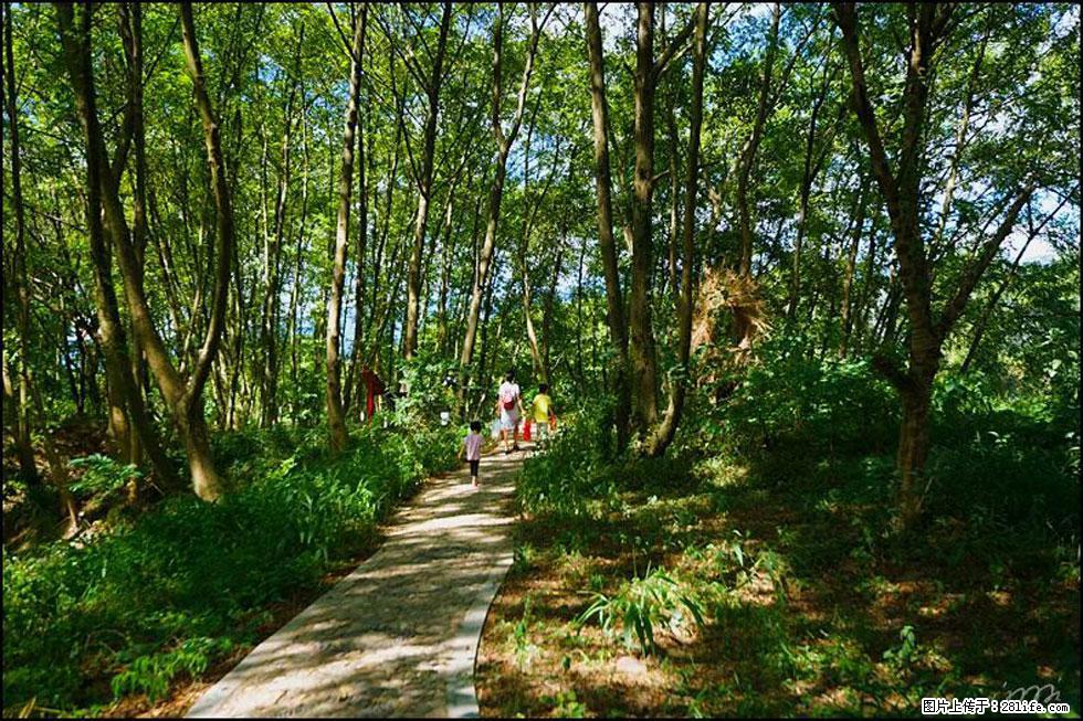 【春天，广西桂林灌阳县向您发出邀请！】熊家寨湿地公园 - 游山玩水 - 惠州生活社区 - 惠州28生活网 huizhou.28life.net