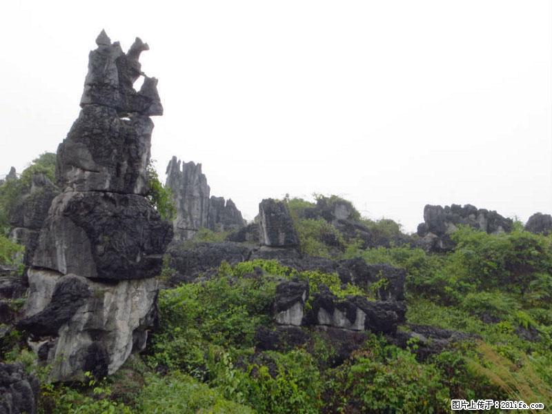 桂林旅游名城景点：灌阳文市石林 - 游山玩水 - 惠州生活社区 - 惠州28生活网 huizhou.28life.net