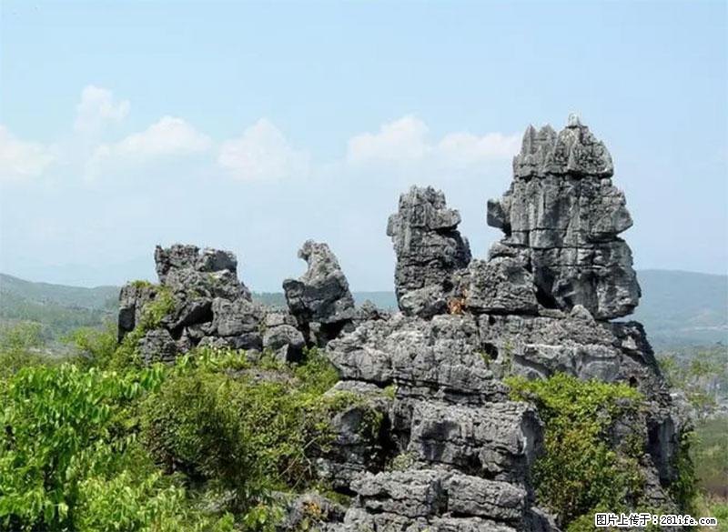 桂林旅游名城景点：灌阳文市石林 - 游山玩水 - 惠州生活社区 - 惠州28生活网 huizhou.28life.net