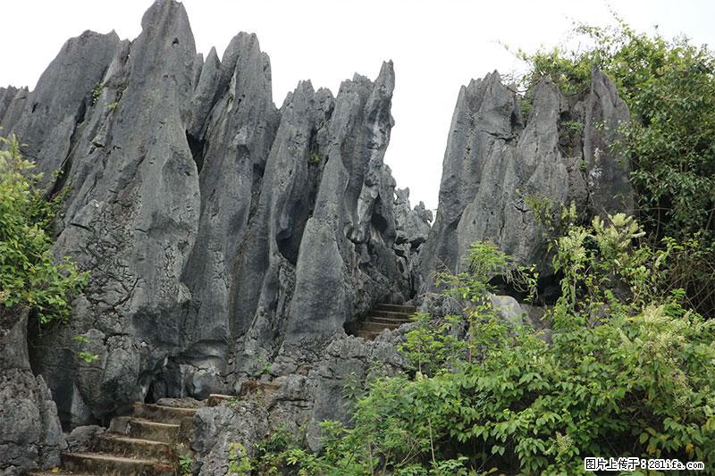 桂林旅游名城景点：灌阳文市石林 - 游山玩水 - 惠州生活社区 - 惠州28生活网 huizhou.28life.net