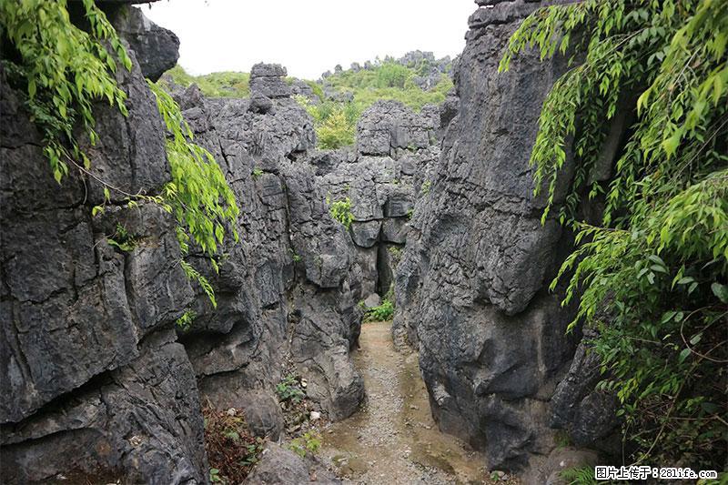 桂林旅游名城景点：灌阳文市石林 - 游山玩水 - 惠州生活社区 - 惠州28生活网 huizhou.28life.net