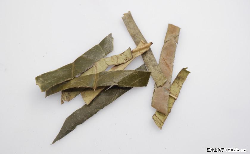苦丁茶有哪些功效和作用 - 生活百科 - 惠州生活社区 - 惠州28生活网 huizhou.28life.net