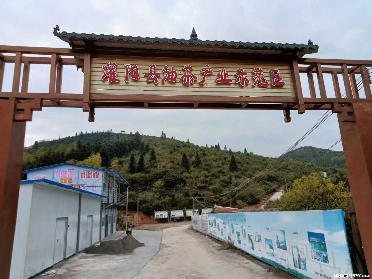 【灌阳县油茶产业示范区】一个有着充实的精神生活的人，对待身外之物自会有一种淡泊的态度 - 土特产 - 饮食特产 - 惠州分类信息 - 惠州28生活网 huizhou.28life.net