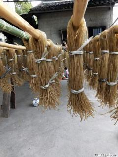 【灌阳正宗红薯粉】美女家里自己做的，干净卫生，假一赔十，价格合理，抢购电话：13737312895 - 惠州28生活网 huizhou.28life.net
