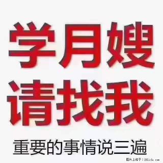 为什么要学习月嫂，育婴师？ - 惠州28生活网 huizhou.28life.net