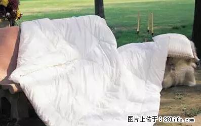 被子有异味?只要这样做,比晒太阳还强100倍! - 家居生活 - 惠州生活社区 - 惠州28生活网 huizhou.28life.net