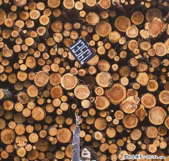 辞掉工作周游世界？现在他们在洗厕所…… - 游山玩水 - 惠州生活社区 - 惠州28生活网 huizhou.28life.net