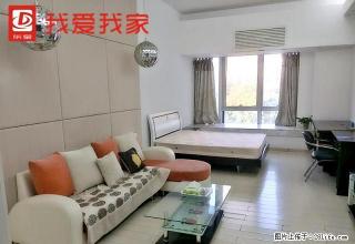 江北精致1房公寓，家私电器齐全，可拎包入住 - 惠州28生活网 huizhou.28life.net