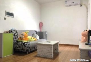 市政广场（都市广场）朝南精品一房一厅，繁华地段 - 惠州28生活网 huizhou.28life.net