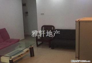 周末红包 先到先得 星湖园两房一厅出租 - 惠州28生活网 huizhou.28life.net