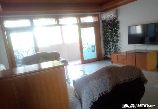 邮电新村 精装3房 自住房首租 房子干净舒适 近佳兆业 好房 - 房屋出租 - 房屋租售 - 惠州分类信息 - 惠州28生活网 huizhou.28life.net