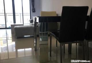 仲恺TCL康城四 2室2厅83平米 简单装修 押二付一 - 惠州28生活网 huizhou.28life.net