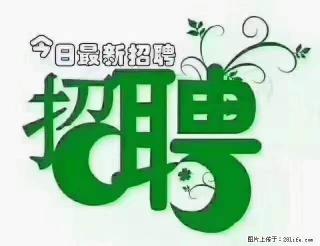 【招聘摄像师】待遇：试用期6000元/月，转正7000元/月+五险一金+餐补+节日福利+奖金 - 惠州28生活网 huizhou.28life.net