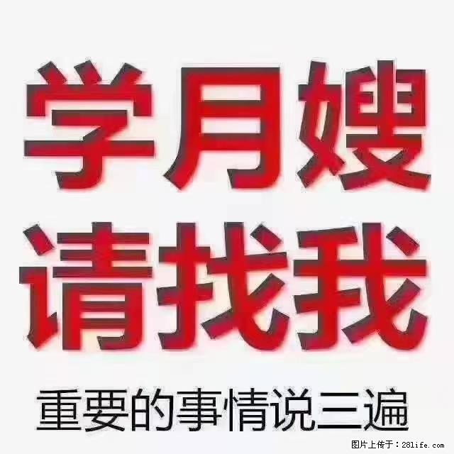 【招聘】月嫂，上海徐汇区 - 职场交流 - 惠州生活社区 - 惠州28生活网 huizhou.28life.net