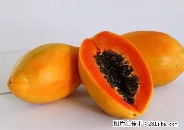 晕车、脚气、牙齿变黄、皮肤粗糙？学会这些三分钟搞定！ - 惠州生活资讯 - 惠州28生活网 huizhou.28life.net
