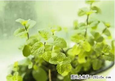 晕车、脚气、牙齿变黄、皮肤粗糙？学会这些三分钟搞定！ - 惠州生活资讯 - 惠州28生活网 huizhou.28life.net