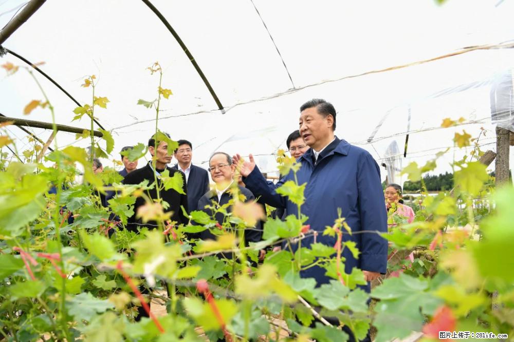 习近平赴广西考察调研 - 惠州生活资讯 - 惠州28生活网 huizhou.28life.net