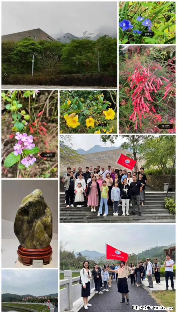 “粤灌文化 美好生活”油茶文化主题活动在广东深圳成功举办 - 惠州生活资讯 - 惠州28生活网 huizhou.28life.net