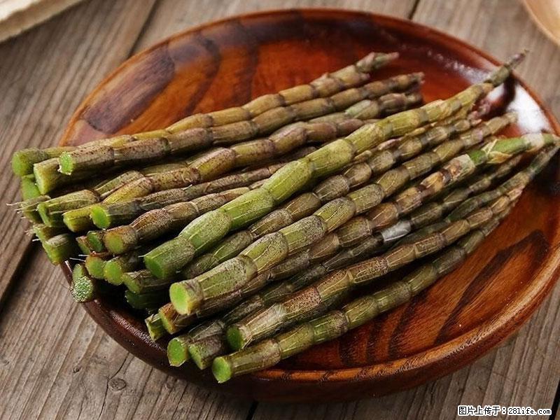 铁皮石斛的作用与功能主治 - 惠州生活资讯 - 惠州28生活网 huizhou.28life.net
